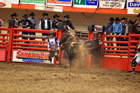 Rodeo Rapid Extreme Bulls (2049)