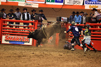 Rodeo Rapid Extreme Bulls (2055)
