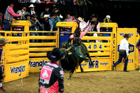 Rocky Mountain Rodeo