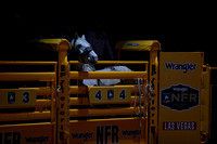 NFR RD Eight (259)