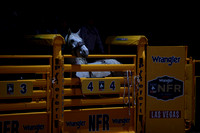 NFR RD Eight (258)