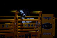 NFR RD Eight (260)