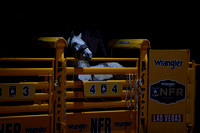 NFR RD Eight (261)