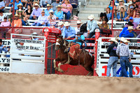 Cheyenne Frontier Days 19' Rookie Saddle Bronc Riding 1st Saturday