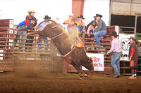 Bull Riding