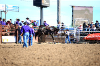 Miles City Bucking Horse Match Bronc Riding Long Go Section Three