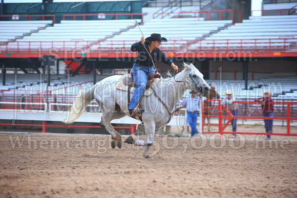 Cheyenne Barrel Slack (3457)