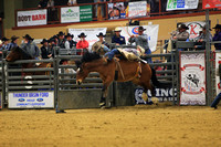 Bucking Ball (375)