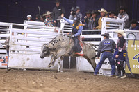 Bull Riding