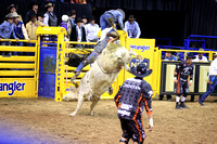 Round 2 Bull Riding (973)  Cole Fischer, Blanco Dice, Western