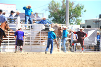 Stanford Saddle Bronc Section Two