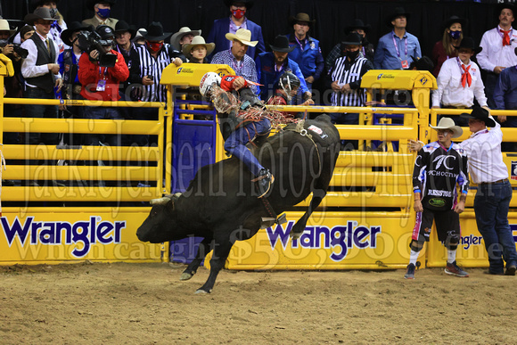 NFR RD ONE (5774) Bull Riding , Shane Proctor, Gangster, Western