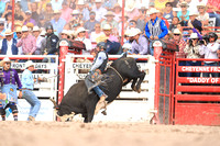 Cheyenne Short RD Bull Riding (817)