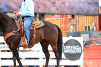 Cheyenne Short RD Bull Riding (810)