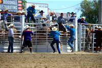 Stanford Saddle Bronc sect One