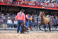 Cheyenne Finals Wild Horse Race