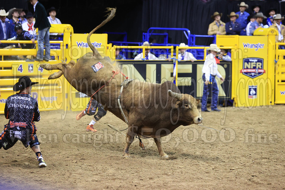 Round 2 Bull Riding (886)  Garrett Smith, Ground Assault, Stockyards