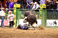 Thursday Bull Riding  (34) DICKSN Dalton Praus