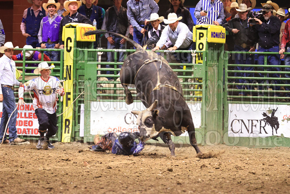 Thursday Bull Riding  (33) DICKSN Dalton Praus