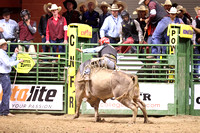 Sunday Mat 1 Bull Riding Cole Skender TRC Day Drinker(20)