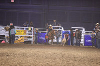 Tie Down Roping