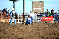 Miles City Bucking Horse Sale Saturday Wild Horse Race Two
