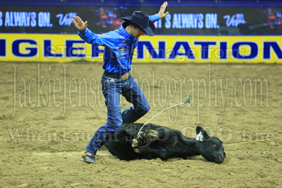 NFR RD Eight (3014) Tie Down Roping, Shane Hanchey