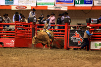 Rodeo Rapid Extreme Bulls (2861)