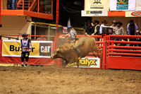 Rodeo Rapid Extreme Bulls (2875)