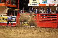 Rodeo Rapid Extreme Bulls (2871)