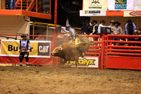 Rodeo Rapid Extreme Bulls (2874)
