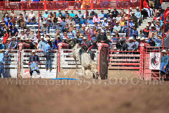 Cheyenne Sunday Short (4210)