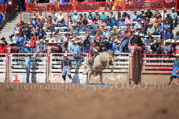Cheyenne Sunday Short (4243)
