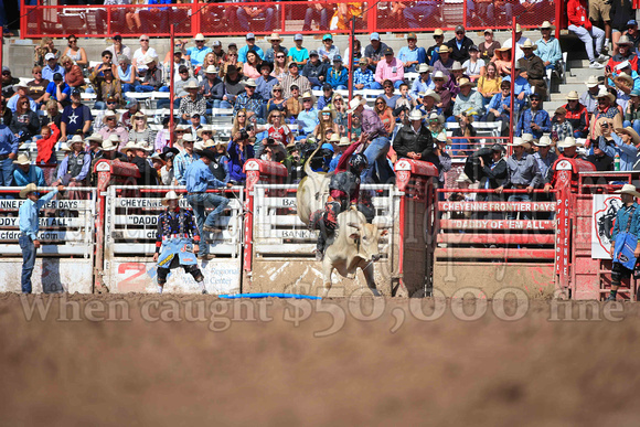 Cheyenne Sunday Short (4222)