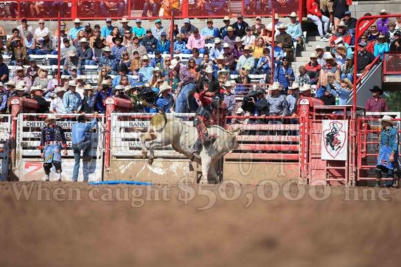 Cheyenne Sunday Short (4201)