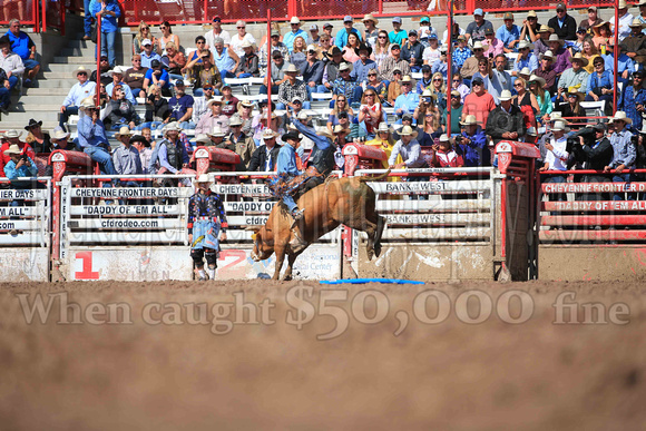 Cheyenne Sunday Short (4506)