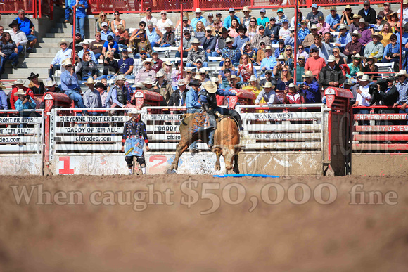 Cheyenne Sunday Short (4501)
