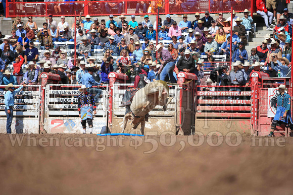 Cheyenne Sunday Short (4229)