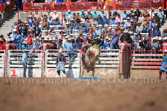 Cheyenne Sunday Short (4242)