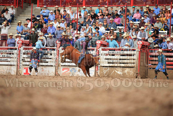 Cheyenne Sunday Short (2754)