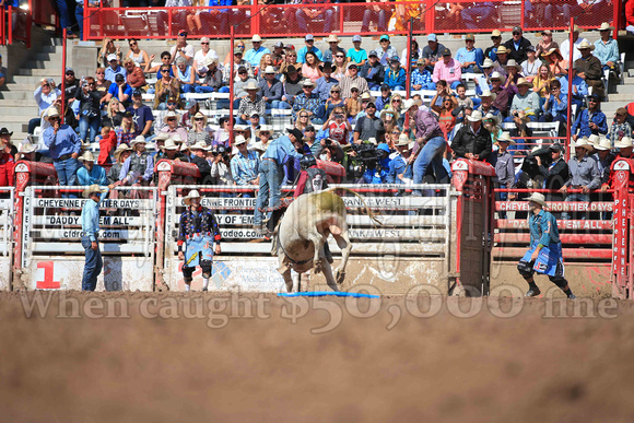 Cheyenne Sunday Short (4258)