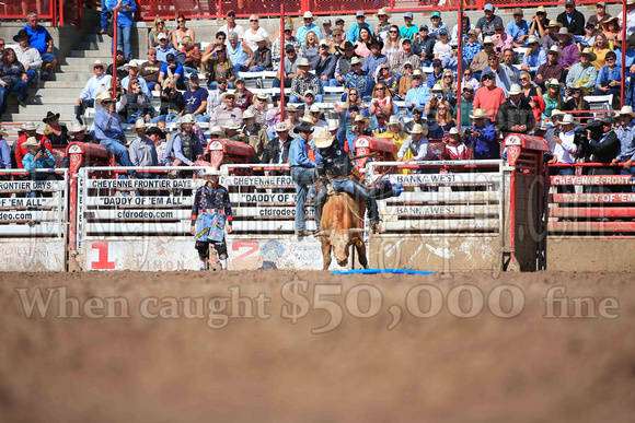 Cheyenne Sunday Short (4503)