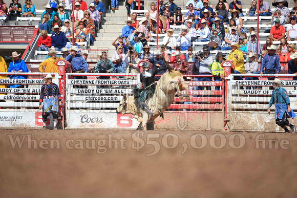 Cheyenne Sunday Short (4150)