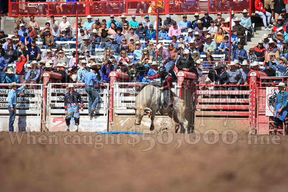 Cheyenne Sunday Short (4221)