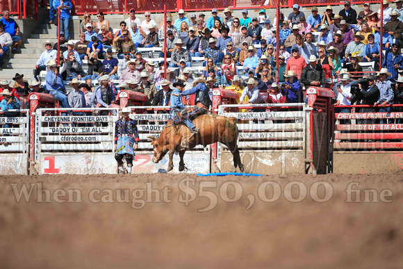 Cheyenne Sunday Short (4505)
