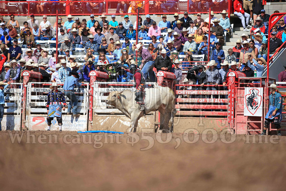 Cheyenne Sunday Short (4207)