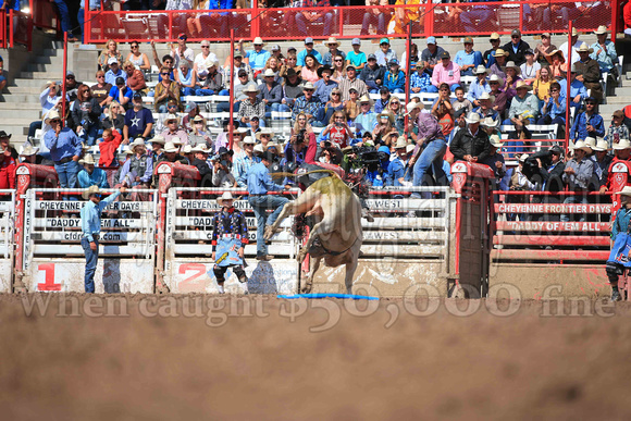 Cheyenne Sunday Short (4241)