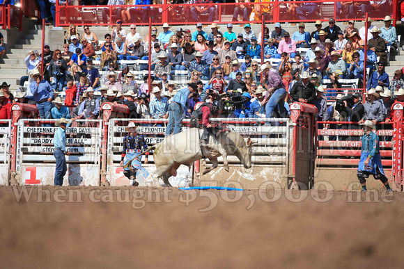Cheyenne Sunday Short (4252)