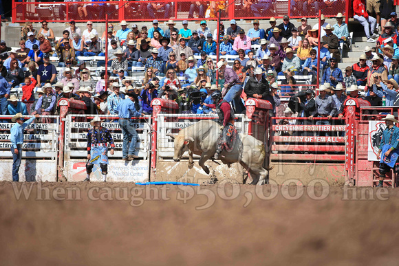 Cheyenne Sunday Short (4220)
