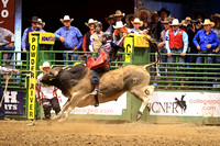 Sunday Bull Riding SHERID Cody Johnson (79)